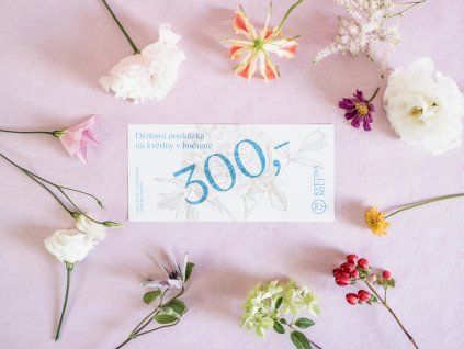 Dárkový poukaz na 300 Kč