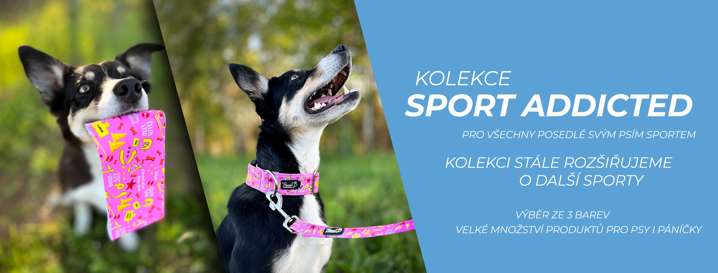 Kolekce Sport Addicted pro všechny závislé na svém psím sportu