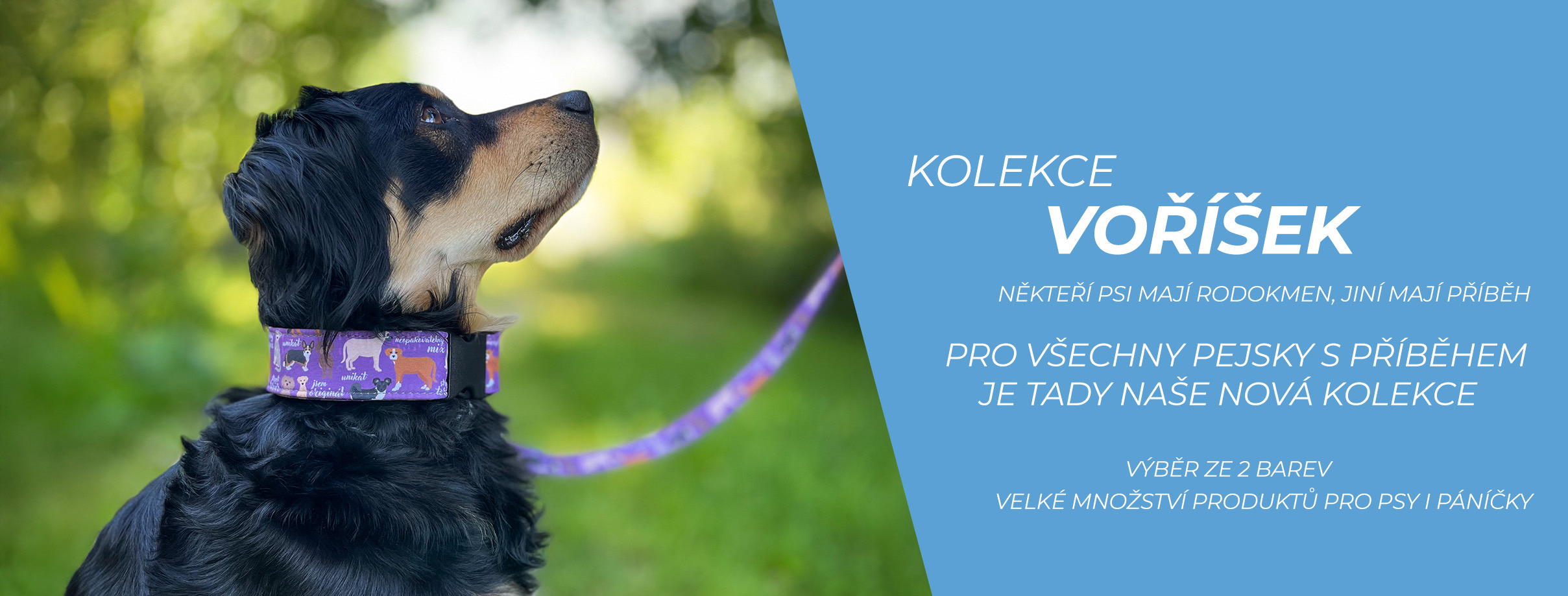 Nová kolekce voříšek