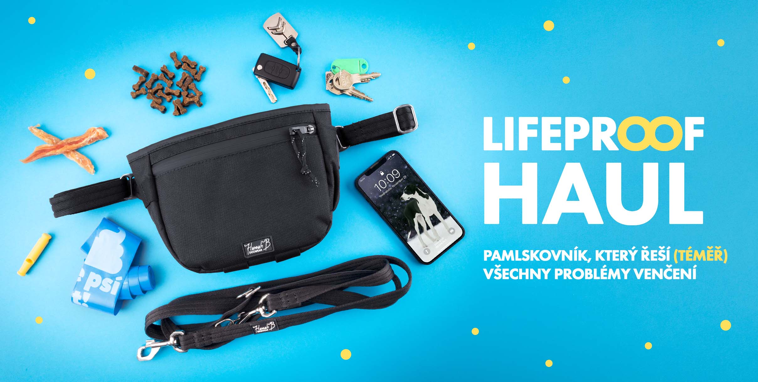 Pamlskovník pro každodenní venčení