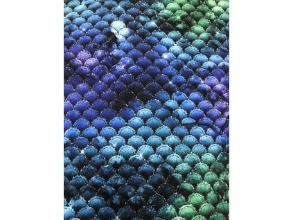 0DCB9BBA D427 4B5F 818C 96CBBA3F2FEC