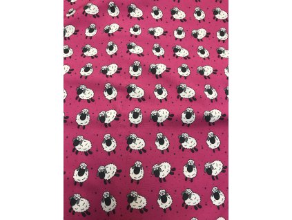 E89ABB0F FC19 420E BEC8 77730FEFBD5E