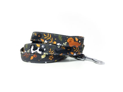 B377D0F8 522F 4BED 9544 162BE50F30BD