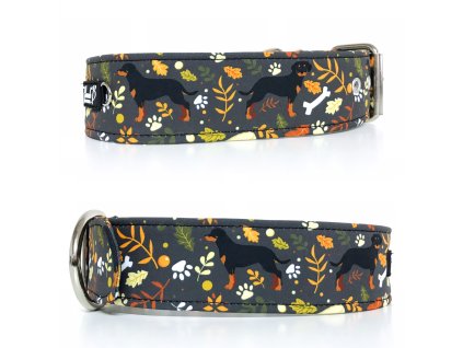 2AD9EC66 98A0 440D 9087 6B38BDAB98F4