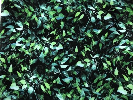 F3C32E47 0A18 43DF 87B8 F563E3070D5A