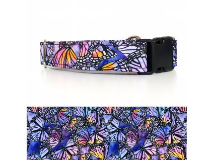 2E0652AF 2D86 4456 806F 4C5F59C4B39E