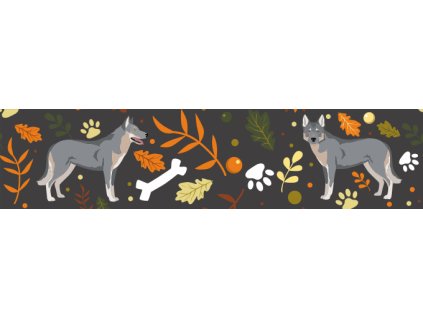 ceskoslovensky vlcak vzorek