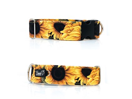 42D92541 8878 40B4 9A1D B67E637898C6