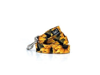 53DD8B92 4F70 46E9 AAB3 719252015C46