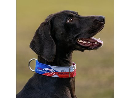 Obojek ICF Pardubice