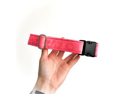 B5BF6E8A D299 4FD6 9672 A222F3FBA546