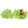 nahled hrnek belgicky ovcak malinois obecne