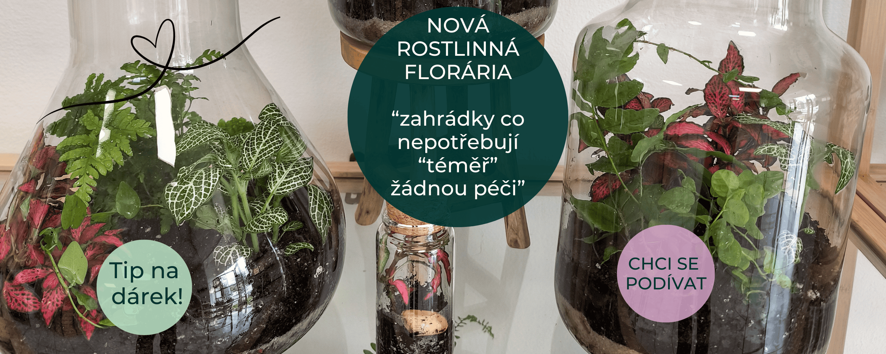 FLORARIA