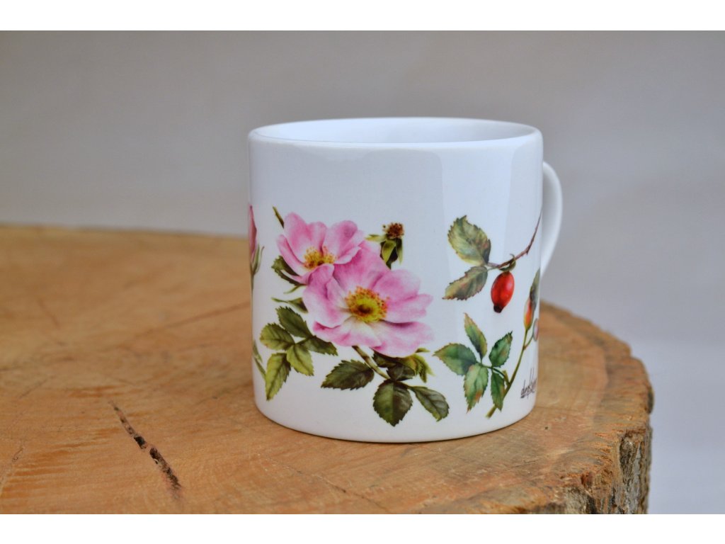 4854_sipkova-ruze-cappuccino
