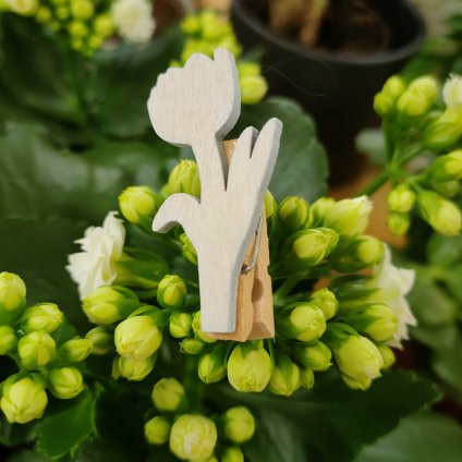 Dřevěný tulipán na kolíčku