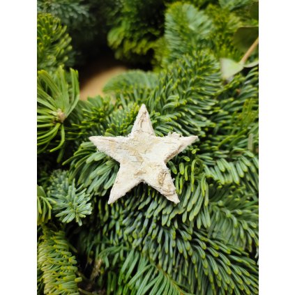 Hvězda Bříza - bílá 4 cm