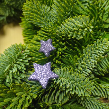 Glitr hvězda - lila