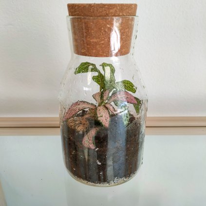 Florárium - "pošli vzkaz v lahvi" - mini