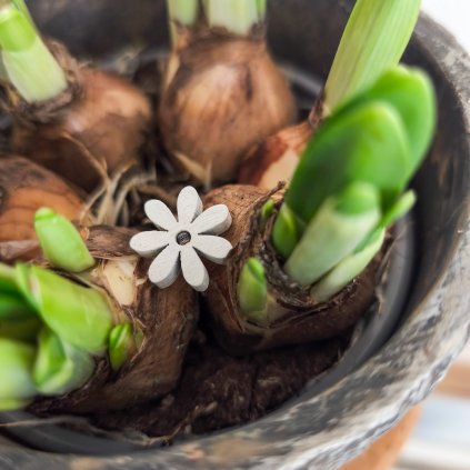 Mini dřevěná kytička - mix barev