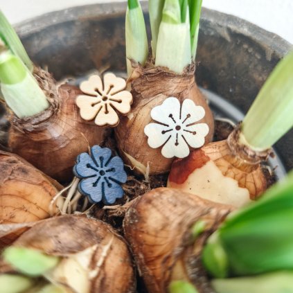 Mini květinka - mix barev