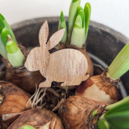 Dřevěný zajíček - mix velikostí