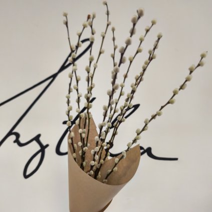 Svazek kočiček - 10 ks