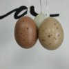 Slepičí vajíčka k zavěšení