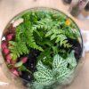 Kurz - Rostlinné florárium - 2.6.