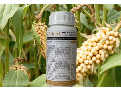 Folicit 1