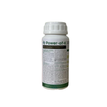 powerof removebg preview