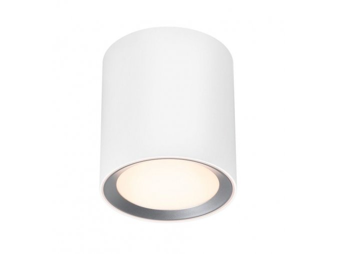 Bílé přisazené koupelnové LED svítidlo Landon 14 6,5W