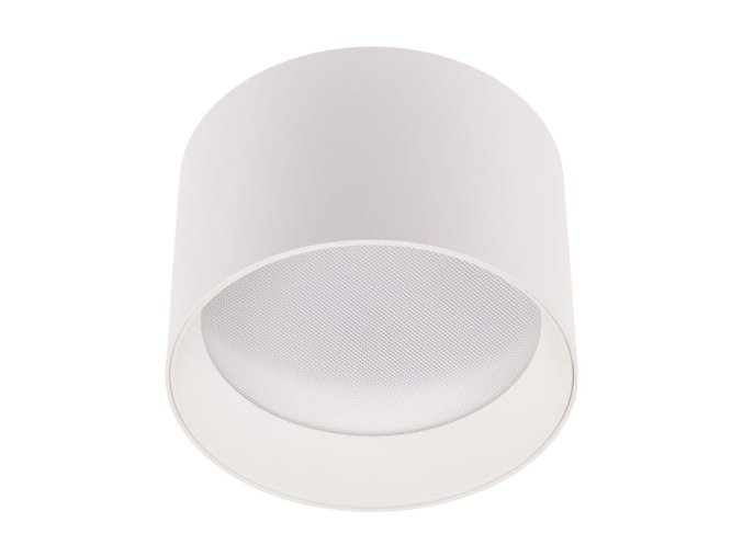 Bílé stropní LED svítidlo Alexo 120mm 12W IP54 CCT stmívatelné
