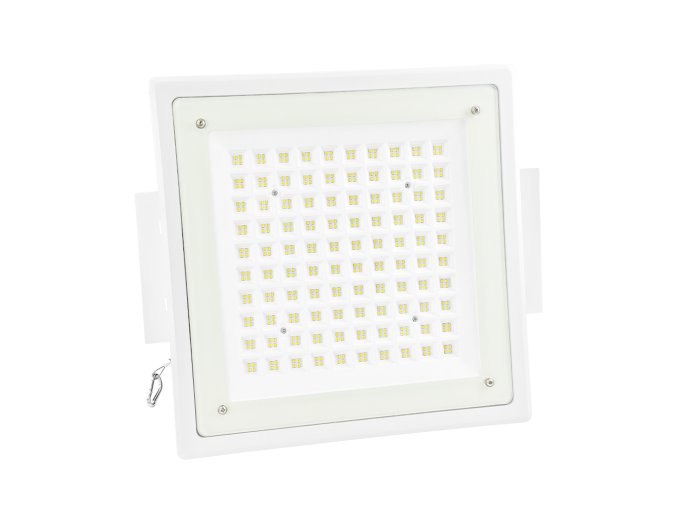 LED canopy light 1
