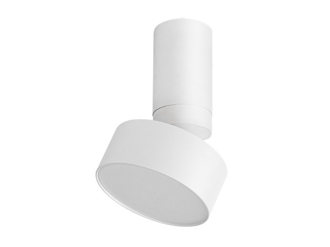 Bílé stropní LED svítidlo Ovidia 110mm 10W polohovatelné