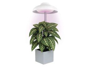 Bílá LED pěstební lampička 5W