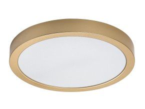 Zlaté stropní LED svítidlo Shaun Plus kulaté 300mm 30W IP44