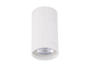 10023 TUNE WHITE A