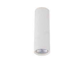 10025 TUNE WHITE A