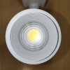 124402 2 bily listovy led reflektor 20w 3f posledni kus