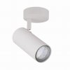Bílé stropní/nástěnné svítidlo Colly pro žárovku 1x GU10