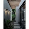 alundra 16 seaside cerna 5