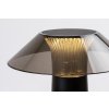 Černá zahradní nabíjecí lampa Assen 5W 28,5cm