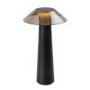 Černá zahradní nabíjecí lampa Assen 5W 28,5cm