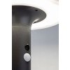 Antracitové fasádní solární LED svítidlo s pohybovým čidlem Alaska 10W IP44