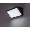 Černé fasádní LED svítidlo Rapla2 18W IP65 CCT