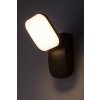 Černé fasádní LED svítidlo Odiel 12W IP44