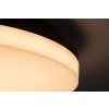 Černé stropní LED svítidlo Pernik kulaté 280mm 24W IP54