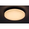 Černé stropní LED svítidlo Pernik kulaté 280mm 24W IP54