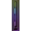 Černá stojací LED RGB lampa Barto 19W s DO