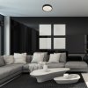 SMART WIFI Černé stropní LED svítidlo Achilles 500mm 40W RGB+CCT s DO